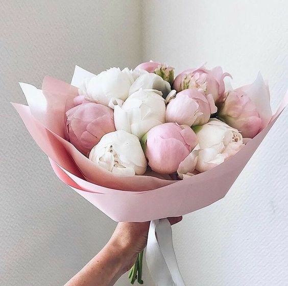 15 Розовых и Белых Пионов
