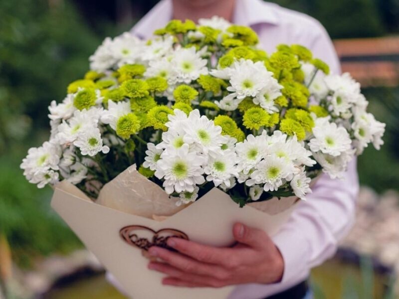 19 Кустовых Бело-Зеленых Хризантем