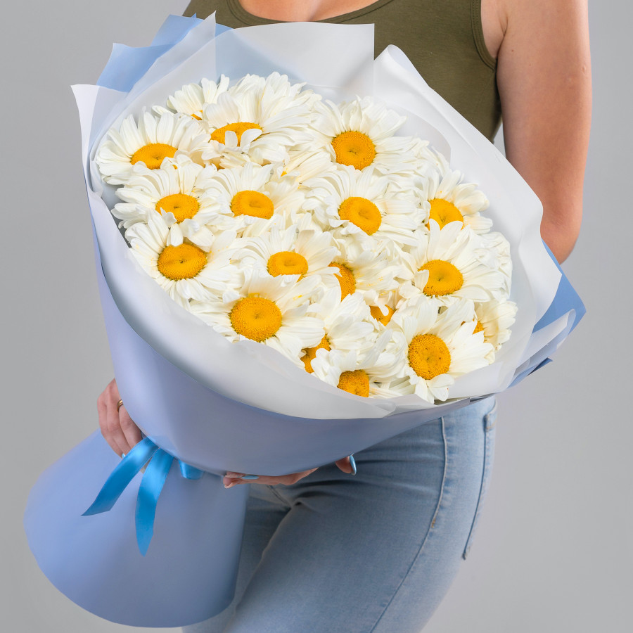 27 Крупных Ромашек