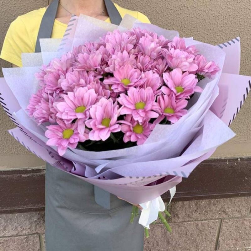 7 Розовых Кустовых Хризантем